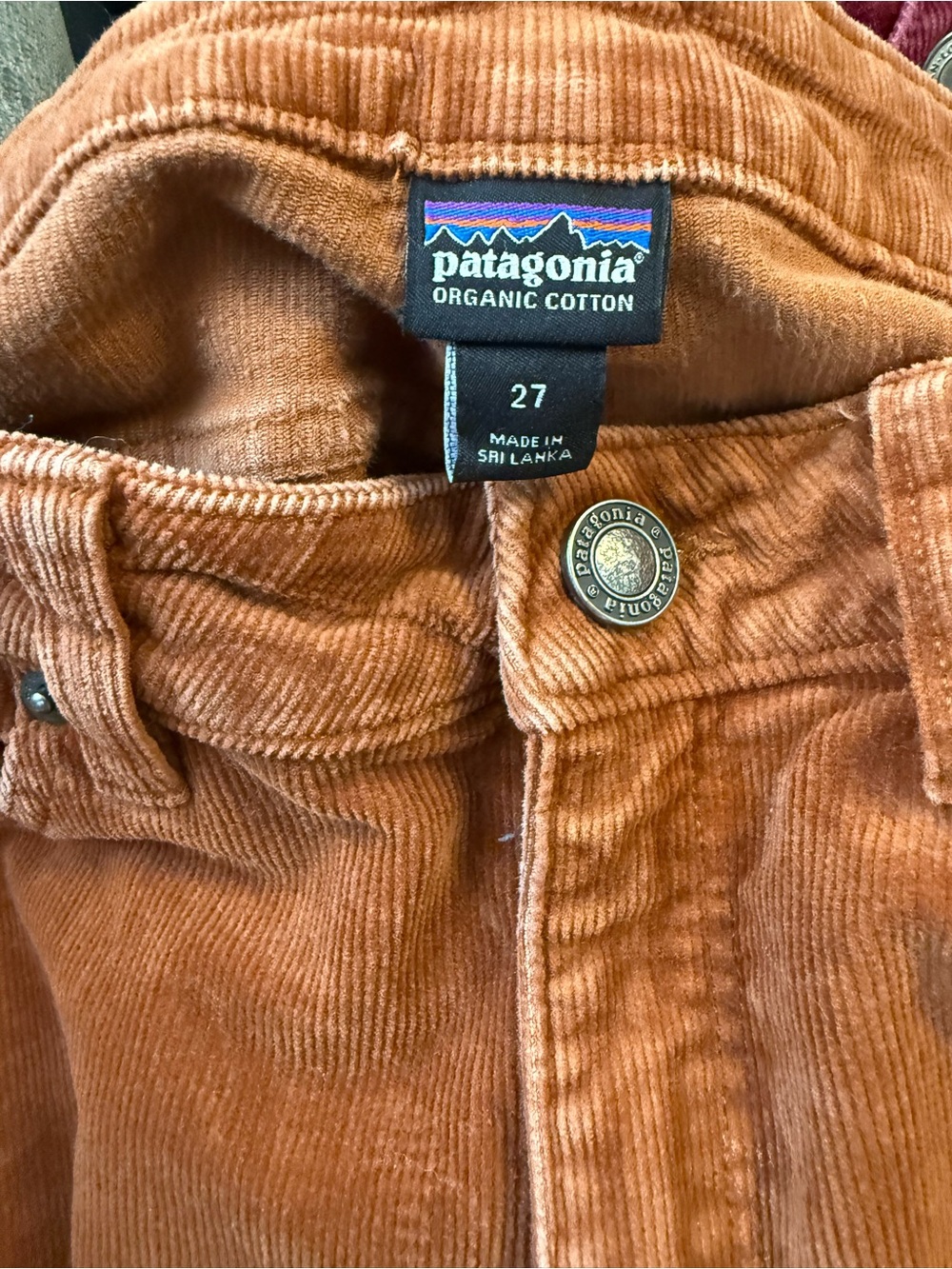 Patagonia Organic Cotton Corduroy Pants — Burnt Orange